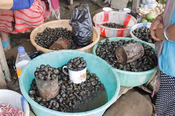 Manipuri cuisine — Women selling fresh water snails (a local delicacy) in Senapati, Manipur.