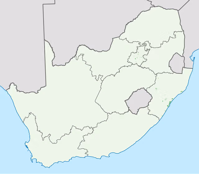 India Afrika Selatan — Map showing the proportion of the South African population that self-described as "Indian or Asian" in the 2011 census, at electoral ward level.