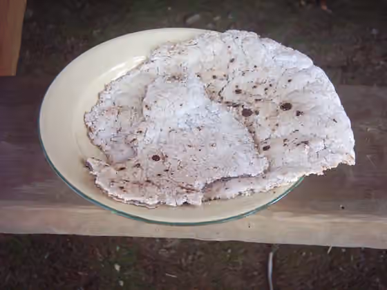 Hidangan Papua Nugini — a sago pancake made only with water and starch from the Sago palm - basic food for many people especially in parts of Papua New Guinea and parts of Indonesia.