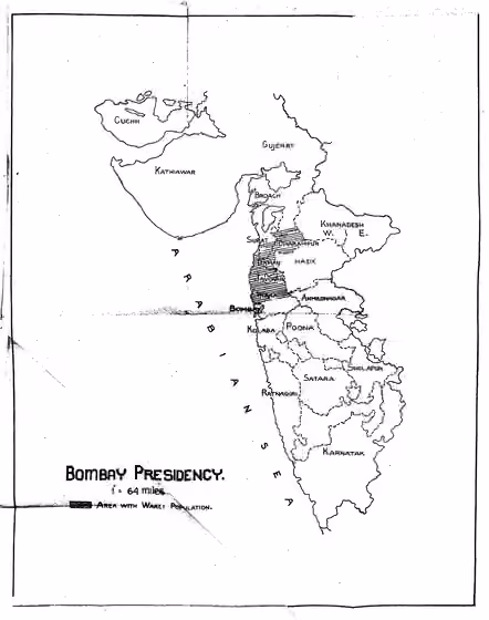 Warli people — Warli population in Bombay Presidency