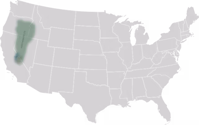 Northern Paiute people — Map of traditional Northern Paiute and Mono territory Information from    This file was derived from: Blank US Map (states only).svg