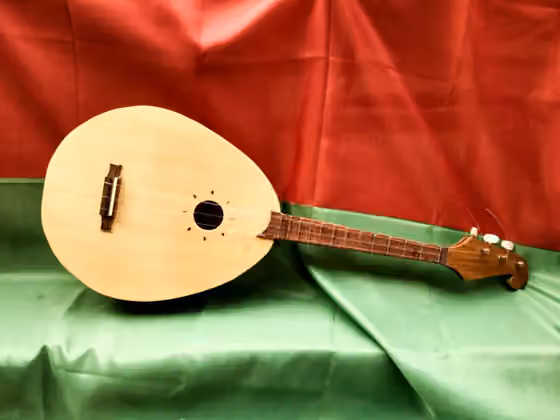 Kobza — Ukrainian kobza by Jo Dusepo