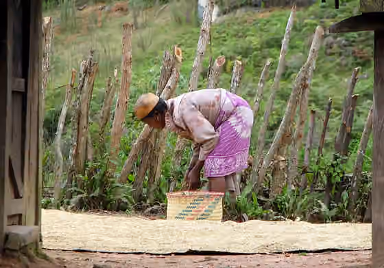 Zafimaniry — Zafimaniry woman, village of Ifasina, Madagascar