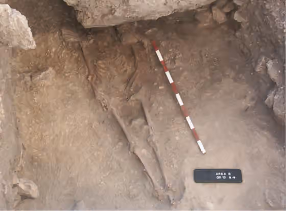 Anatolian hunter-gatherers — First Anatolian hunter-gatherer.