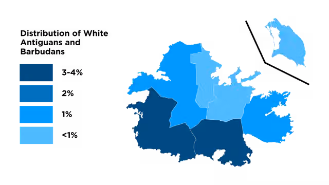White Antiguans and Barbudans — Distribution of ethnic group