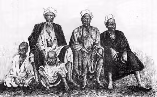 orang Bambara — Groupe de Bambaras du haut Sénégal (illustration dans Colonel Frey Côte occidentale d'Afrique , 1890, Fig.49 p.87 :] [Cote : Réserve A 200 386]