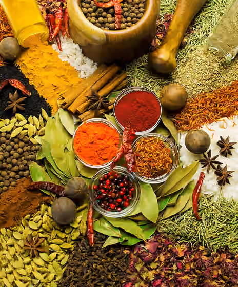 Masakan Mesir — This is an image of food from